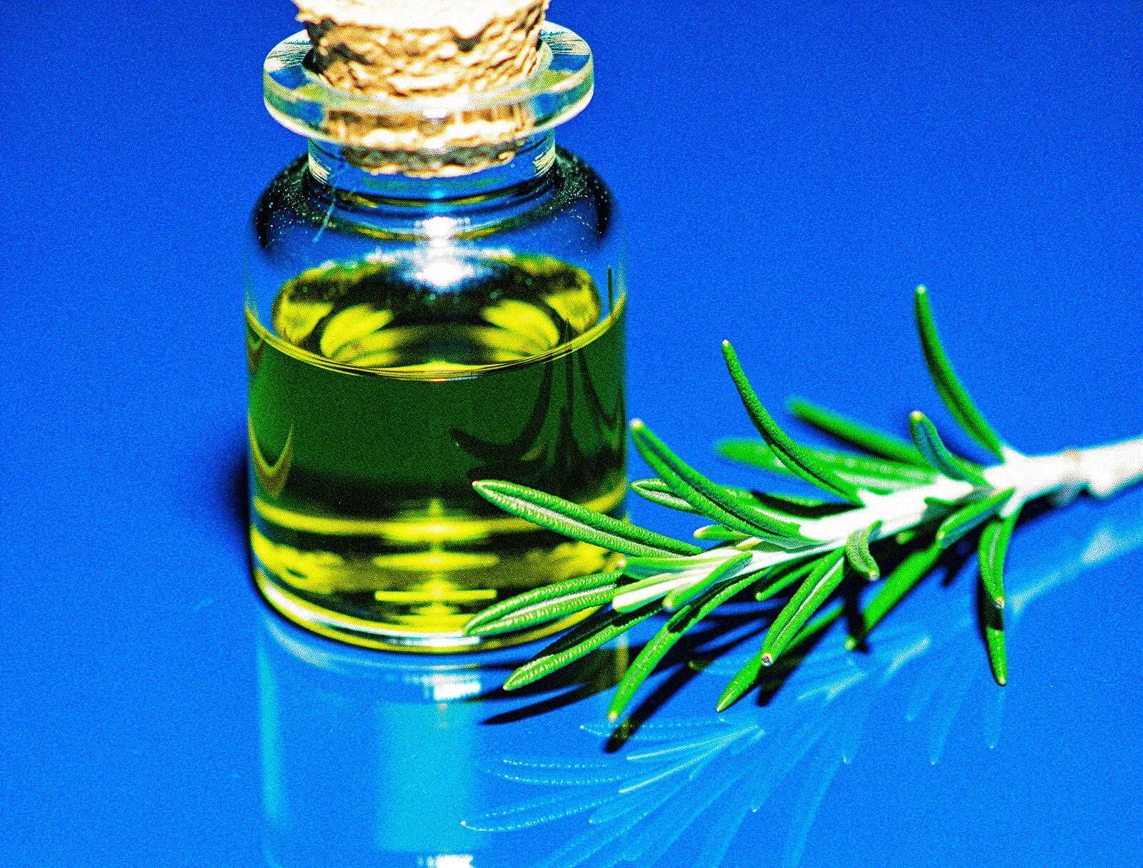 Δεδομένα και Διατροφή